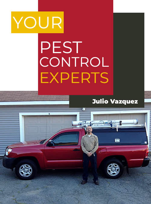 Castle Extermination Company - owner Julio Vazquez Castle Extermination Company - owner Julio Vazquez